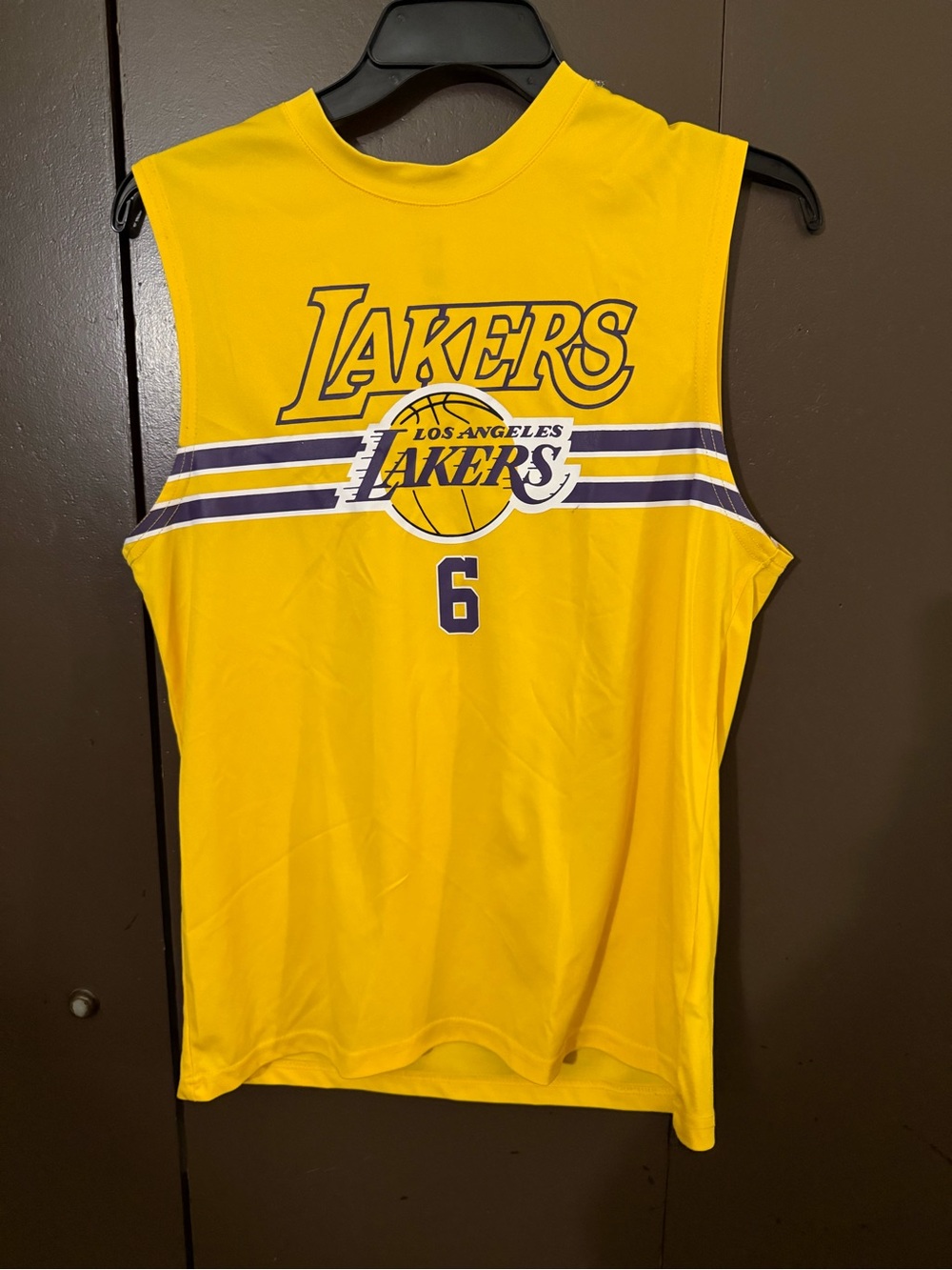 NBA Los Angeles Lakers Yellow & Purple Tank Top #6 James